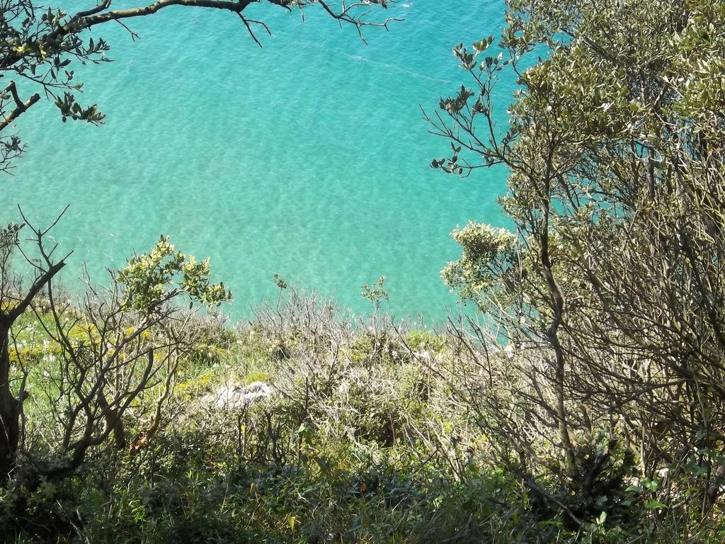 Posada El Trasmerano Argoños Εξωτερικό φωτογραφία